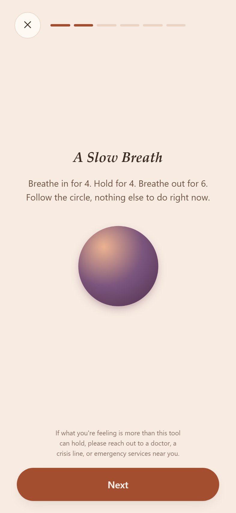 SOS Mode screen in the Reset Kit app